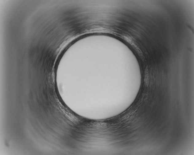 X0000100321372200806261216