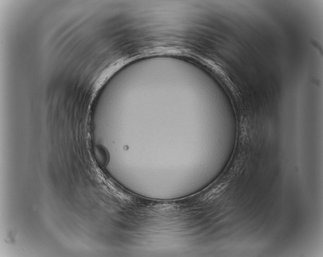 X0000100321373200806261216