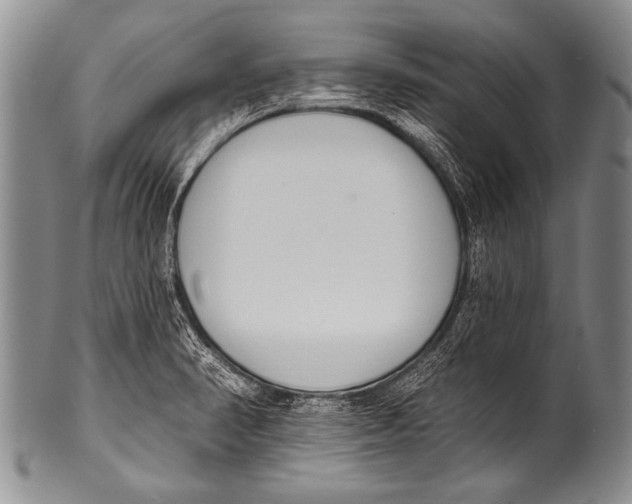 X0000100321374200806261216