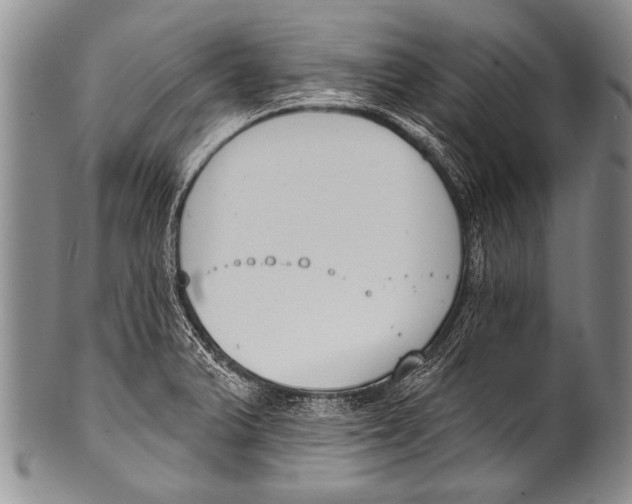 X0000100321375200806261216