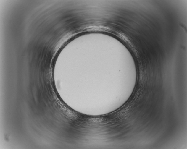 X0000100321376200806261216