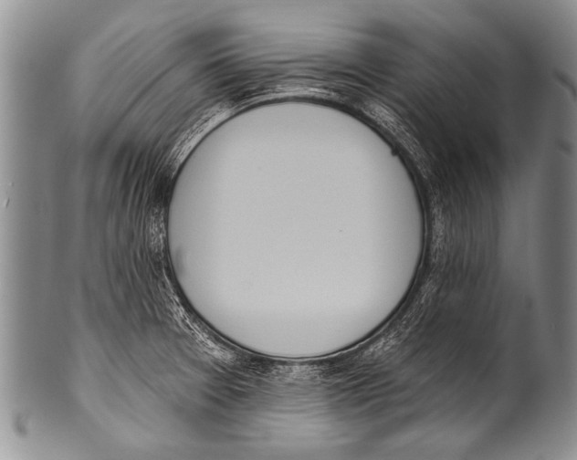 X0000100321377200806261216