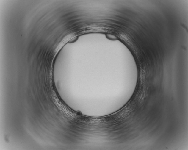 X0000100321378200806261216