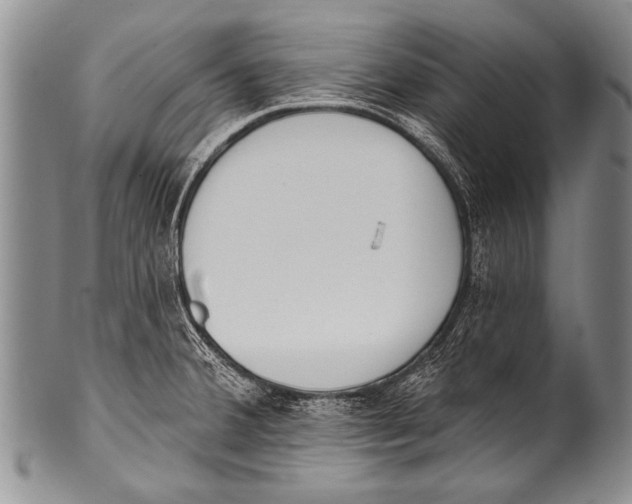 X0000100321380200806261216