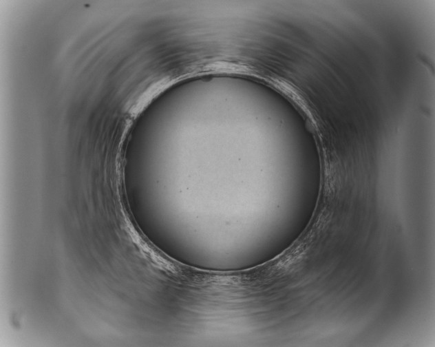 X0000100321381200806261216