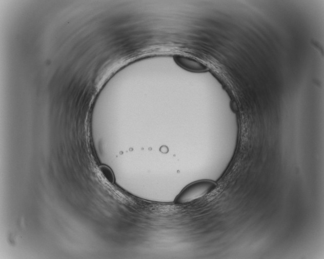 X0000100321382200806261216