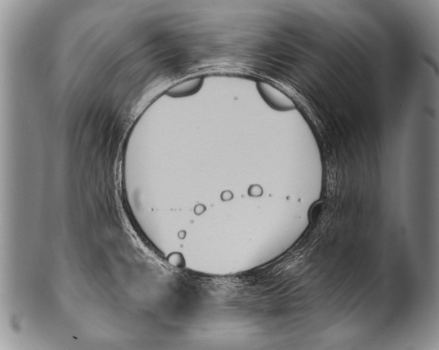 X0000100321383200806261216