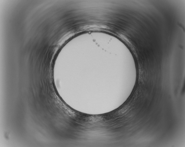 X0000100321384200806261216