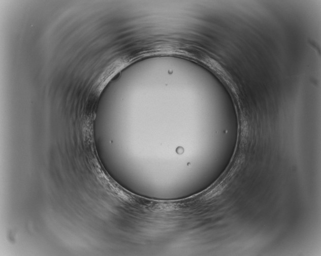 X0000100321385200806261216