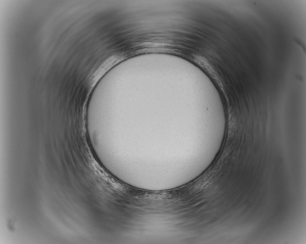 X0000100321386200806261216