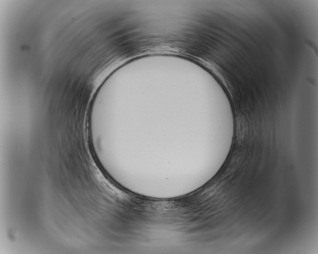 X0000100321387200806261216