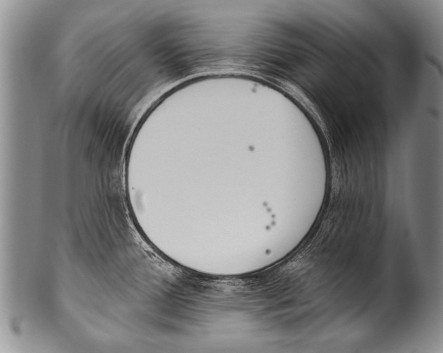 X0000100321388200806261216