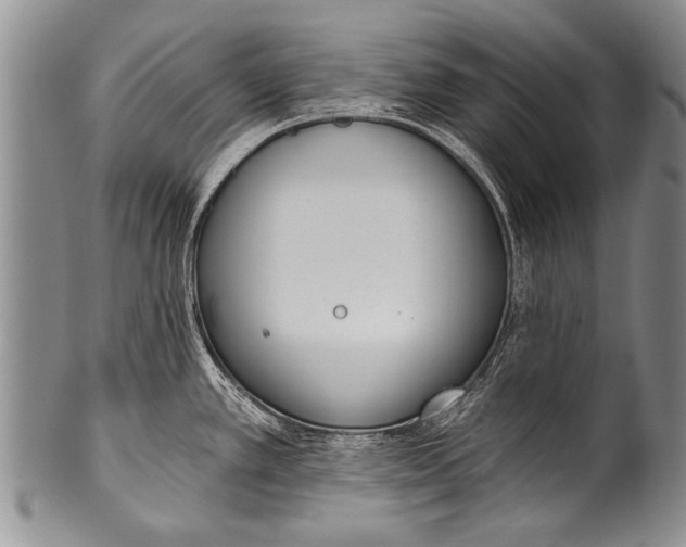 X0000100321389200806261216