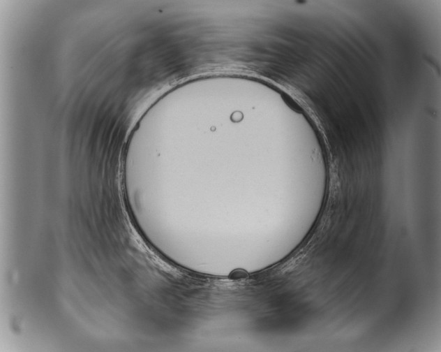 X0000100321390200806261216