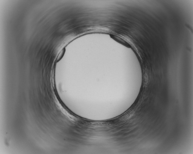 X0000100321391200806261216