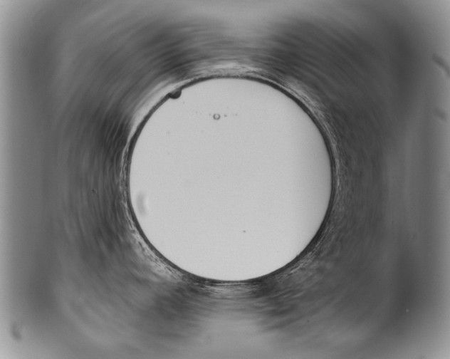 X0000100321392200806261216