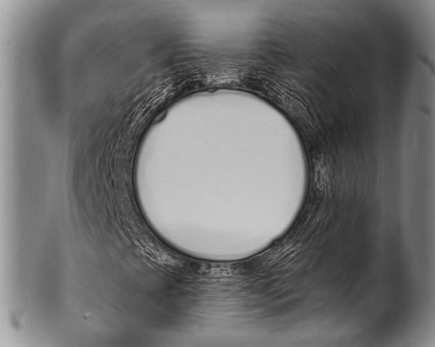 X0000100321393200806261215