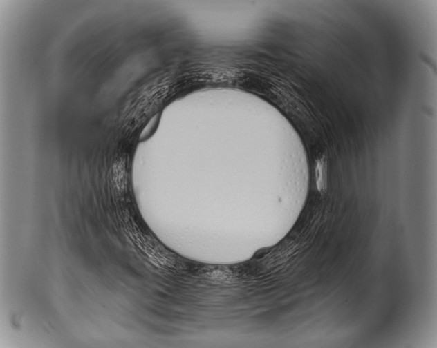 X0000100321395200806261215