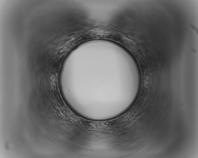 X0000100321397200806261215