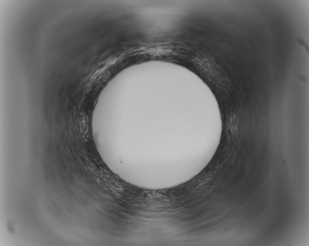 X0000100321398200806261215