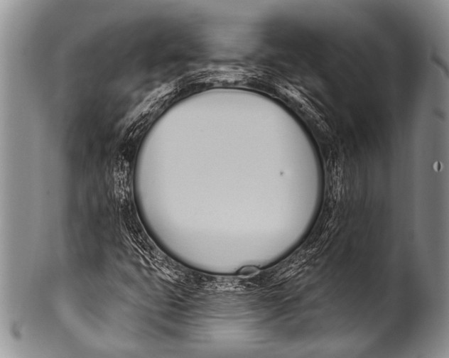 X0000100321399200806261215