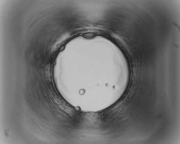 X0000100321403200806261215