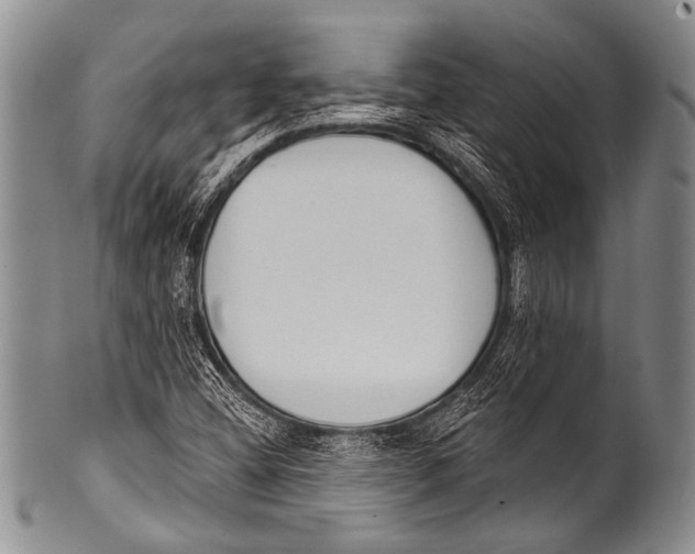 X0000100321404200806261215