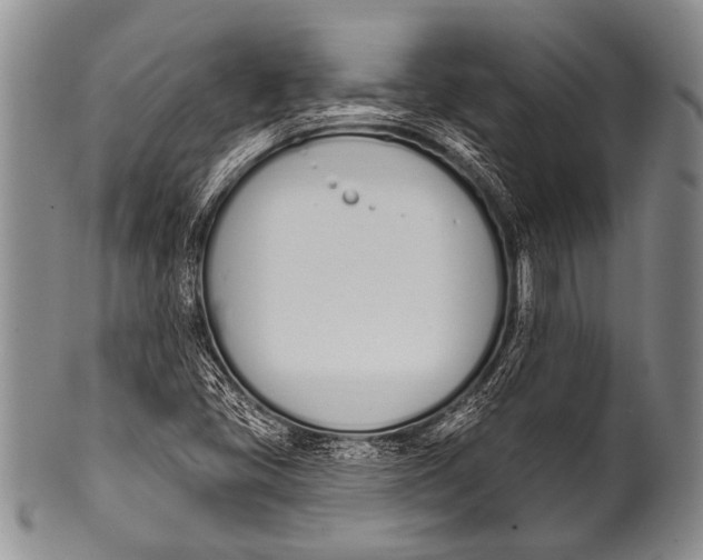 X0000100321405200806261215