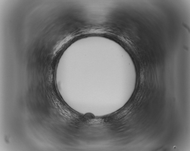 X0000100321406200806261215