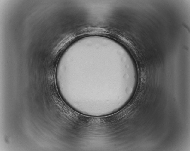 X0000100321407200806261215