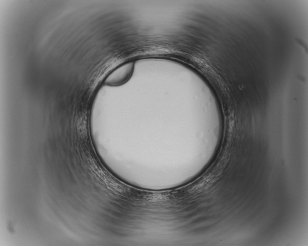 X0000100321409200806261216