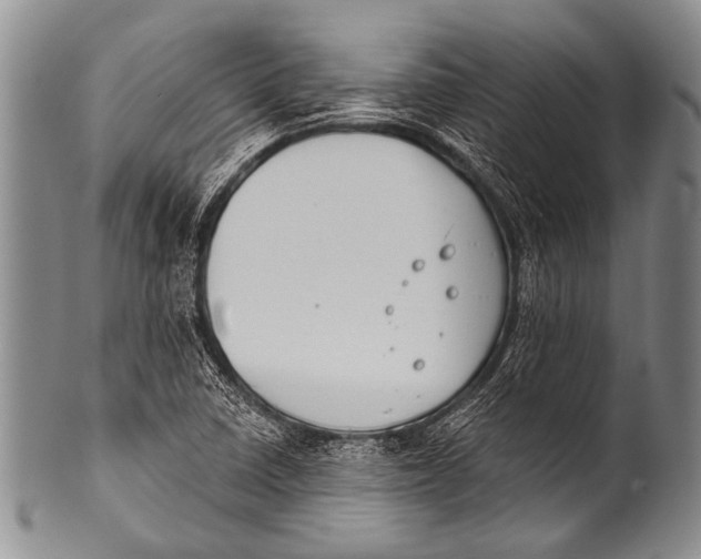 X0000100321410200806261216