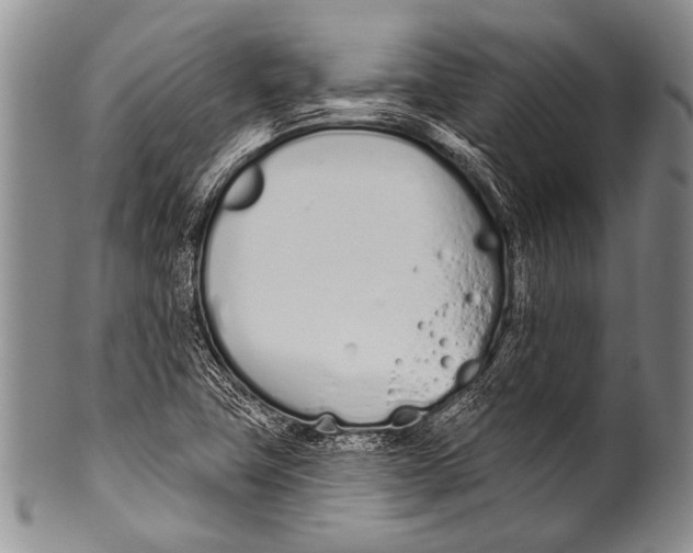 X0000100321411200806261216