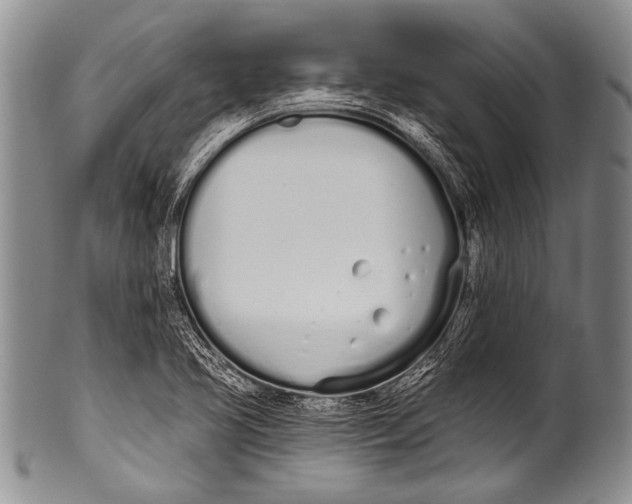 X0000100321413200806261216