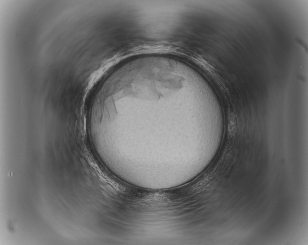 X0000100321414200806261216