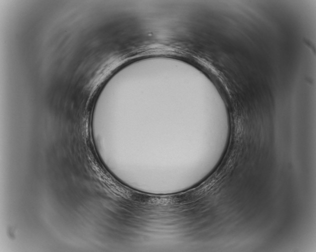 X0000100321415200806261216