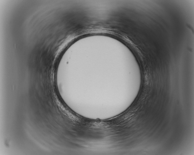 X0000100321416200806261216