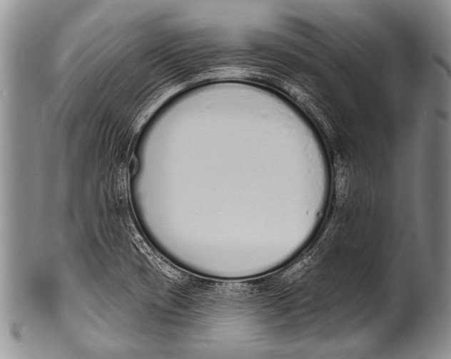 X0000100321417200806261216