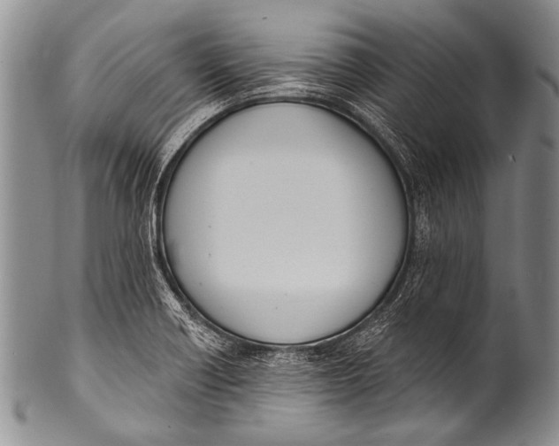 X0000100321418200806261216