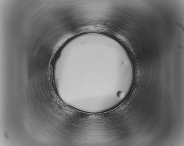 X0000100321419200806261216