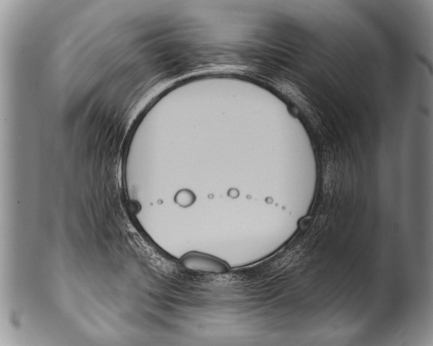 X0000100321420200806261216