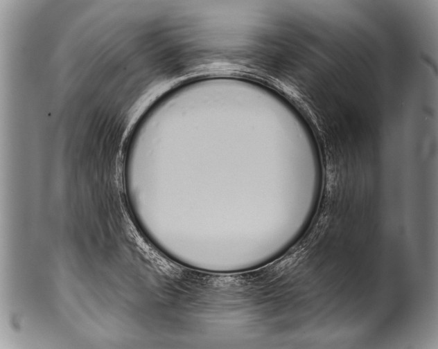 X0000100321421200806261216