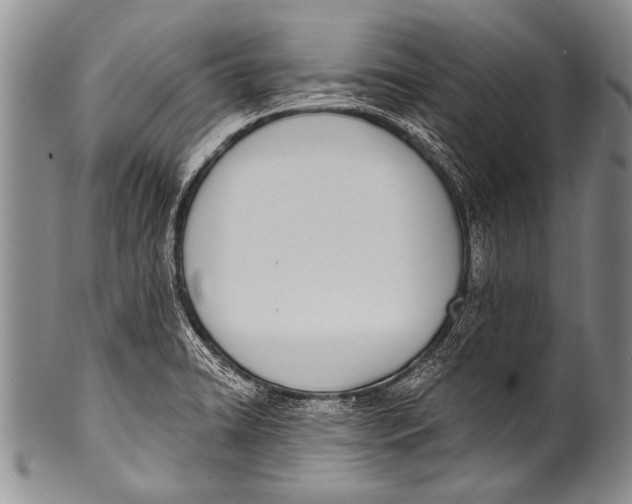 X0000100321422200806261216