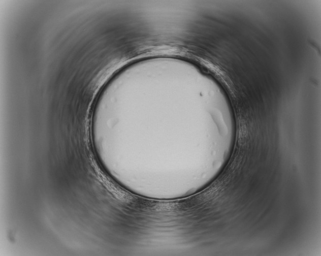 X0000100321423200806261216