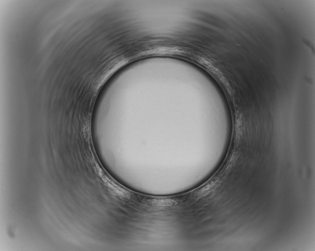 X0000100321425200806261216