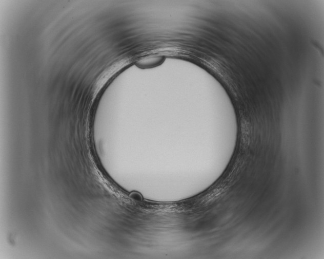 X0000100321426200806261216