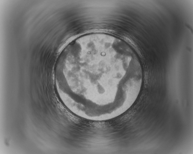 X0000100321428200806261216