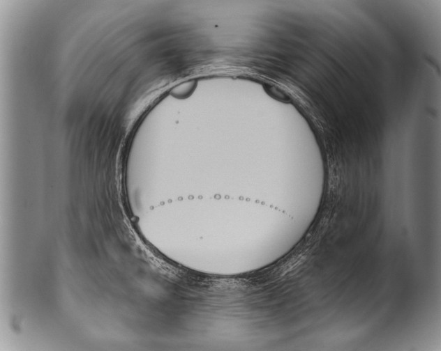 X0000100321430200806261216