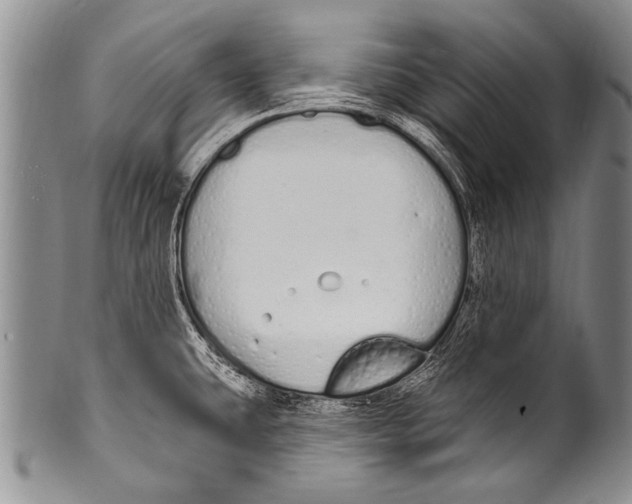 X0000100321431200806261216