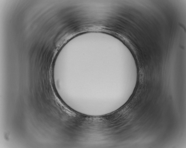 X0000100321432200806261216